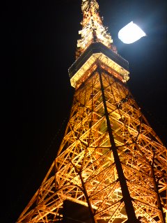 091115_1815~01.jpg