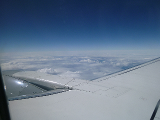 P1000407.jpg