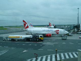 P1000471.jpg