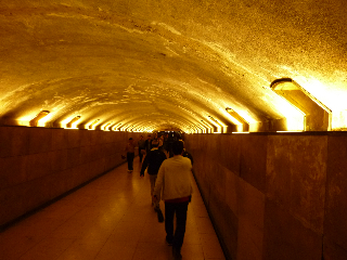 P1000586.jpg